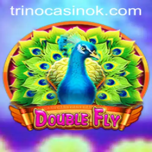 DoubleFly: A Thrilling Gaming Adventure with aabbb.bet